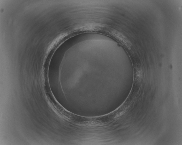 X0000078290678200611101109