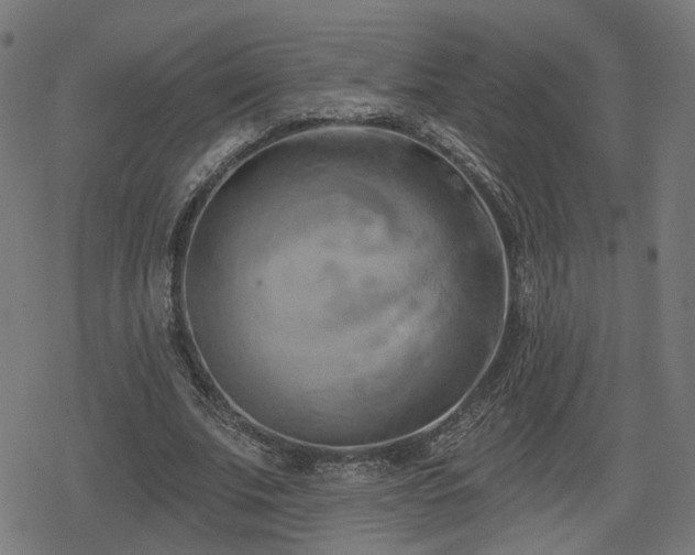 X0000078290679200611101109