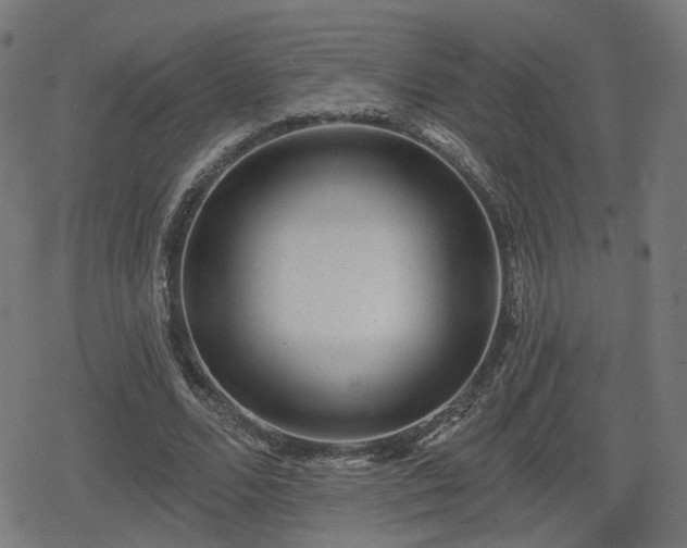 X0000078290680200611101109