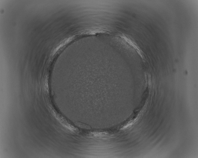 X0000078290681200611101109