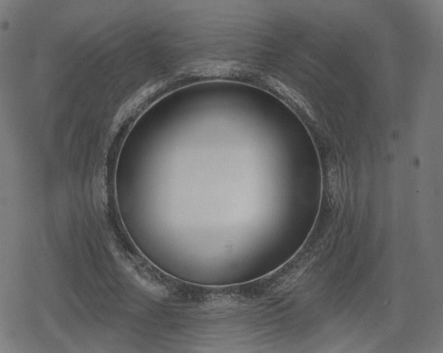 X0000078290682200611101109