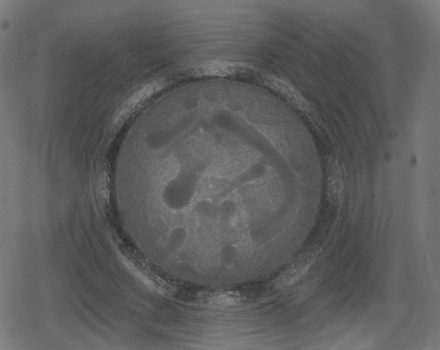 X0000078290683200611101109