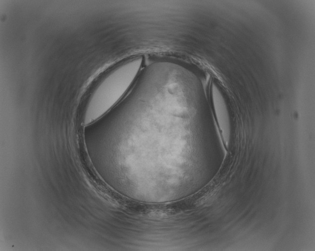 X0000078290684200611101109