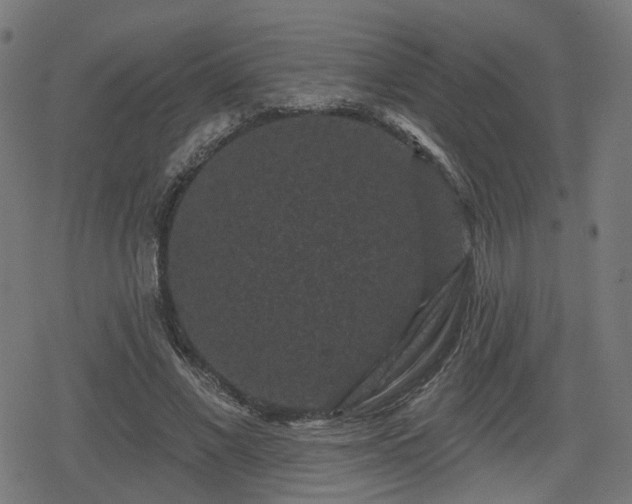 X0000078290685200611101109