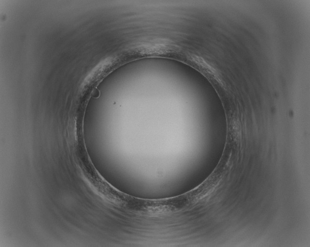 X0000078290686200611101109