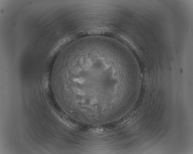 X0000078290687200611101109