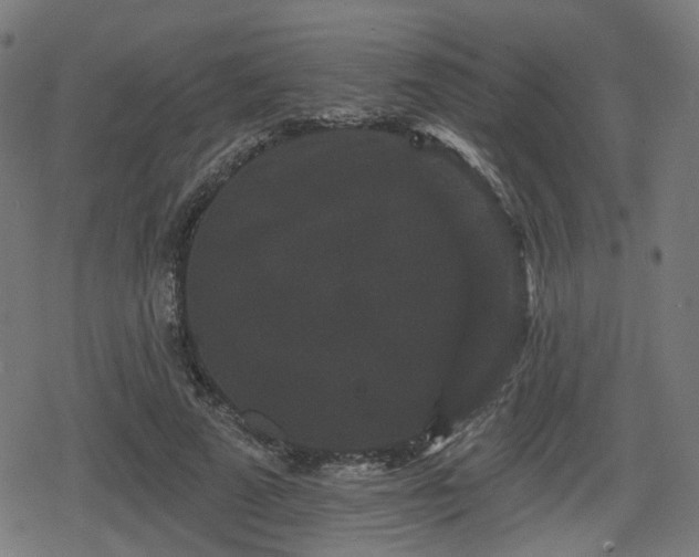 X0000078290689200611101109