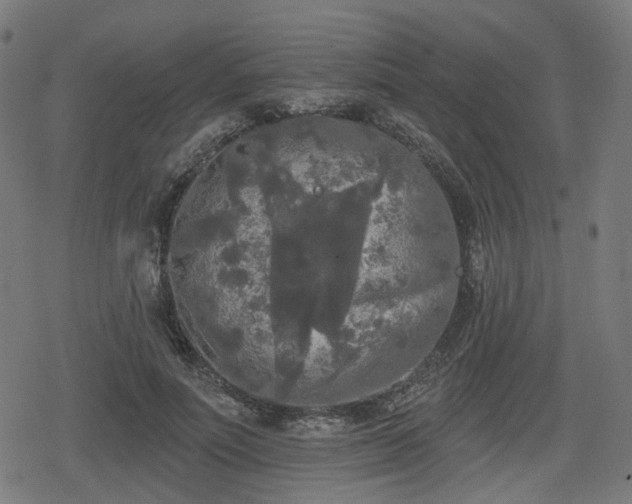 X0000078290691200611101109