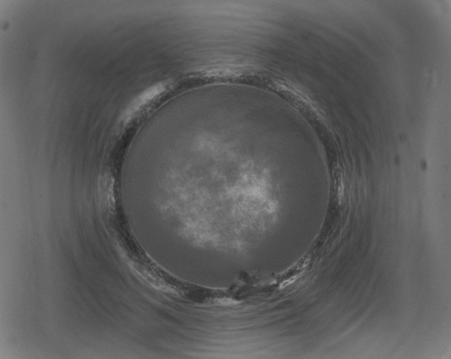 X0000078290692200611101109