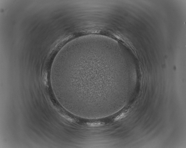 X0000078290693200611101109