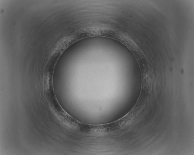 X0000078290694200611101109