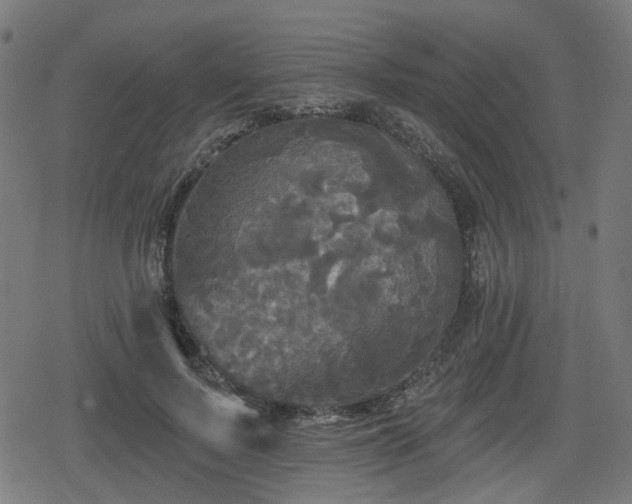 X0000078290695200611101109