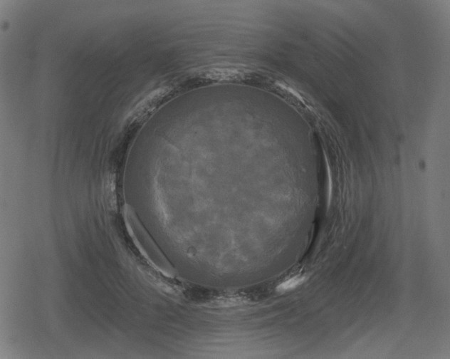 X0000078290696200611101109