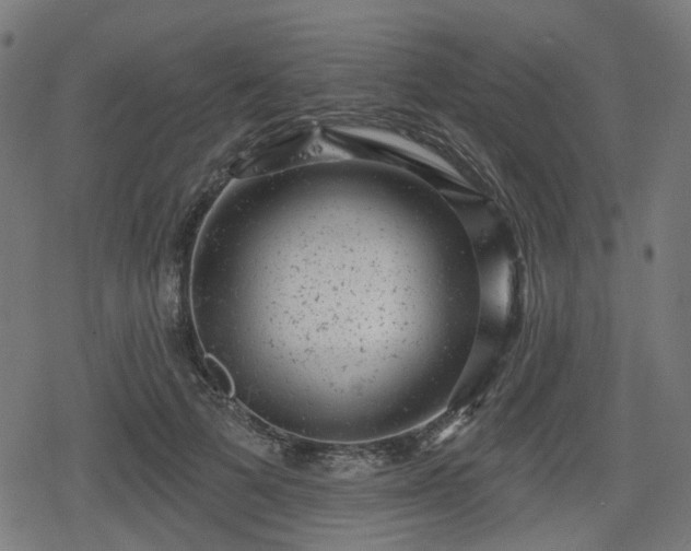 X0000078290697200611101109