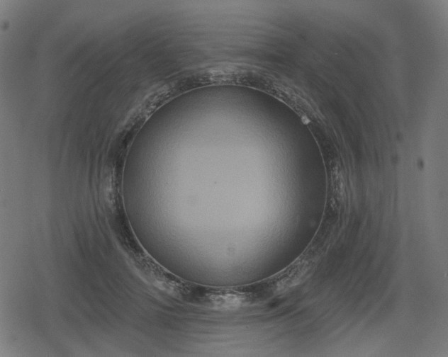 X0000078290698200611101108