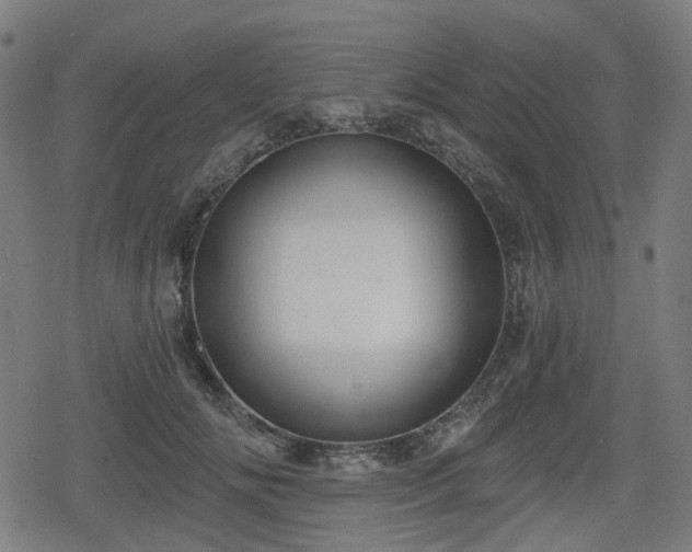 X0000078290702200611101108