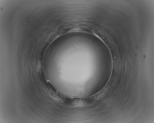 X0000078290704200611101108