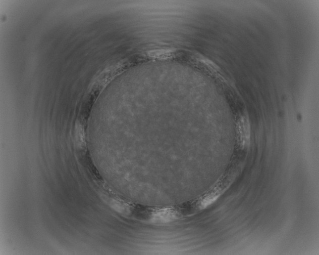 X0000078290705200611101108