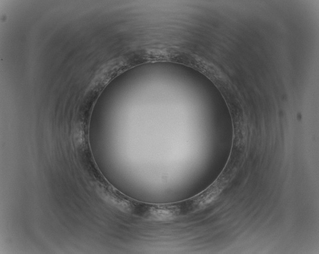 X0000078290706200611101108