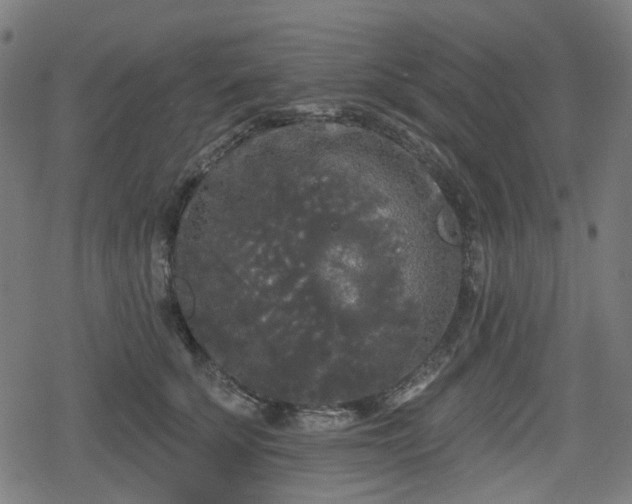 X0000078290707200611101108