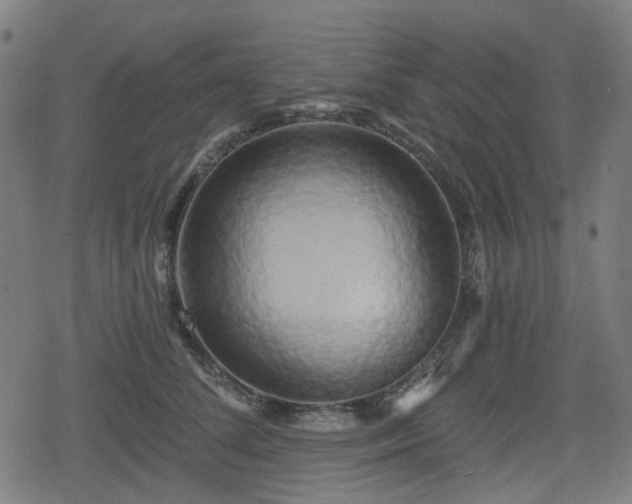 X0000078290708200611101108