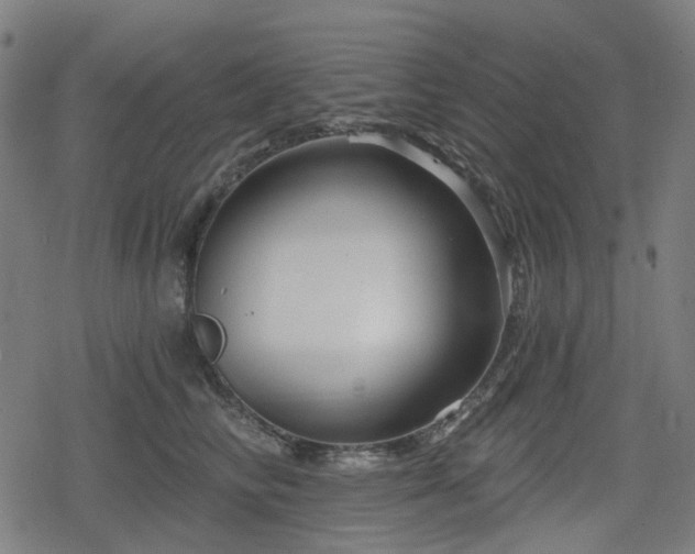 X0000078290710200611101108