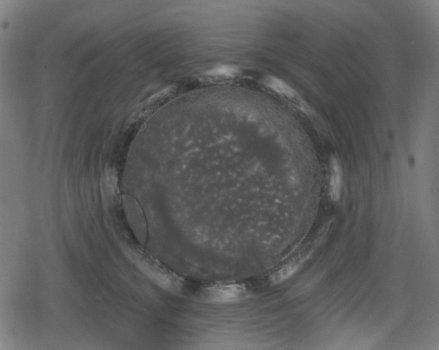 X0000078290711200611101108