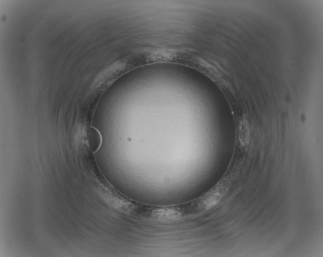 X0000078290714200611101108