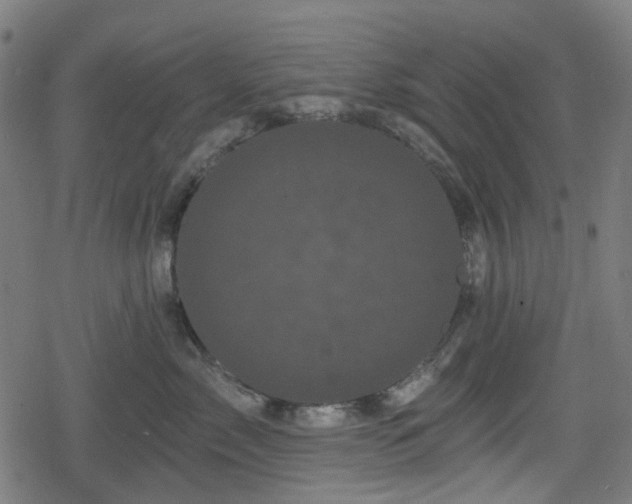 X0000078290717200611101108