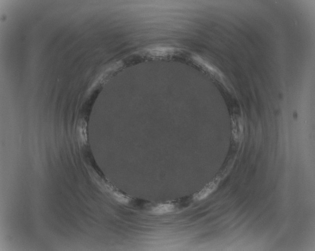 X0000078290718200611101108