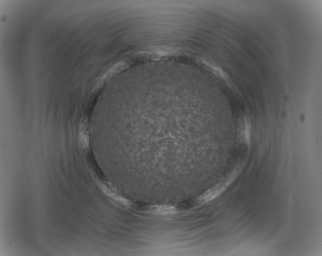 X0000078290719200611101108