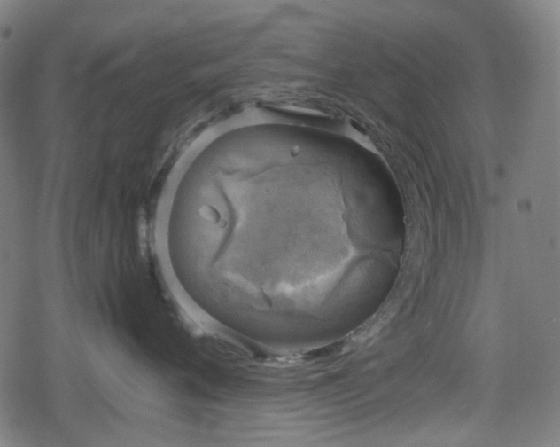 X0000078290720200611101108