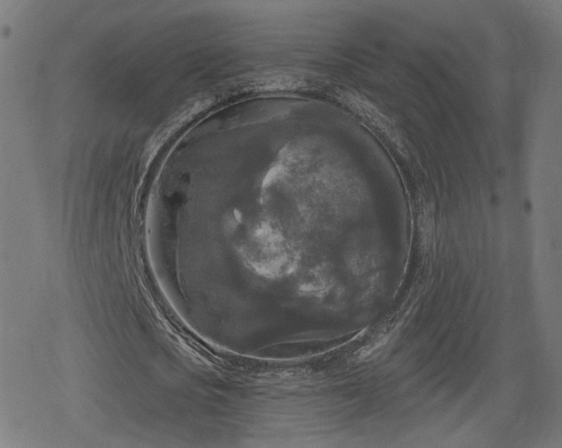 X0000078290721200611101107