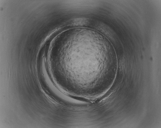 X0000078290722200611101107