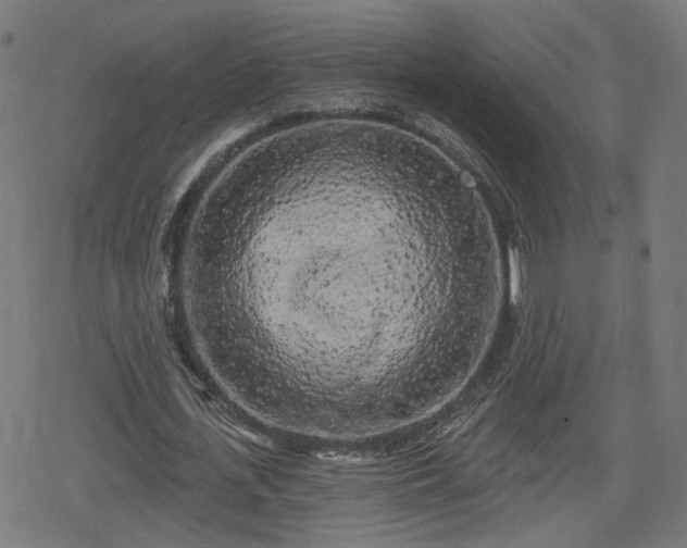 X0000078290723200611101107