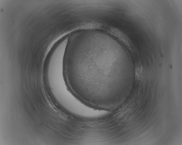 X0000078290724200611101107