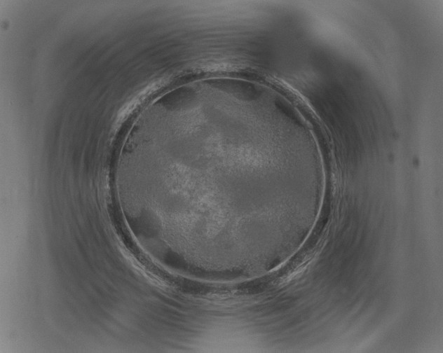 X0000078290725200611101107