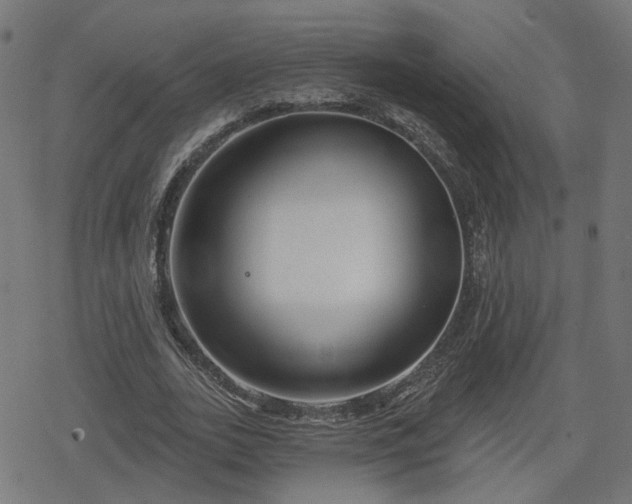 X0000078290727200611101107