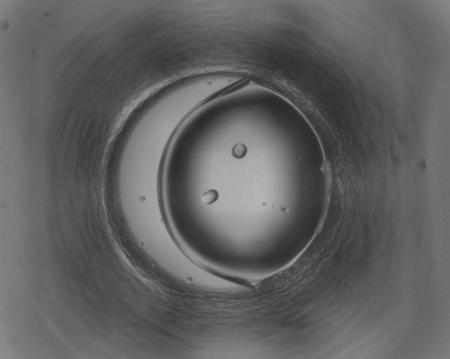 X0000078290728200611101107