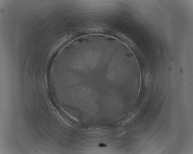 X0000078290729200611101107