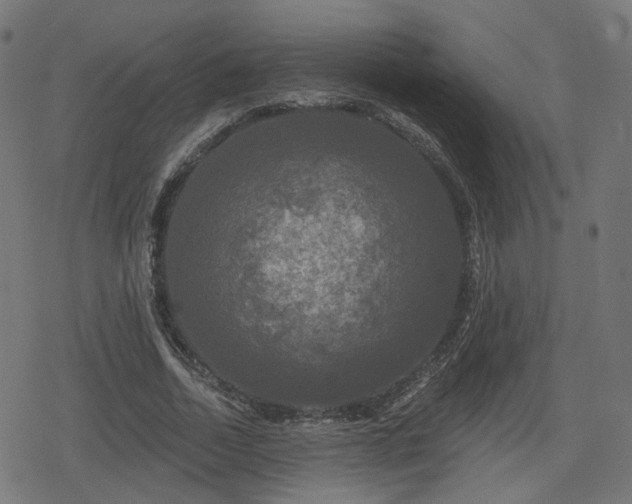 X0000078290730200611101107