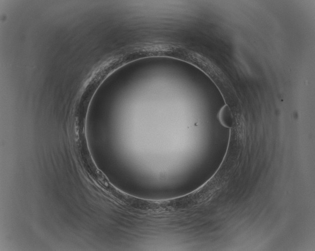 X0000078290731200611101108