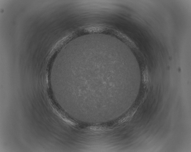 X0000078290733200611101108