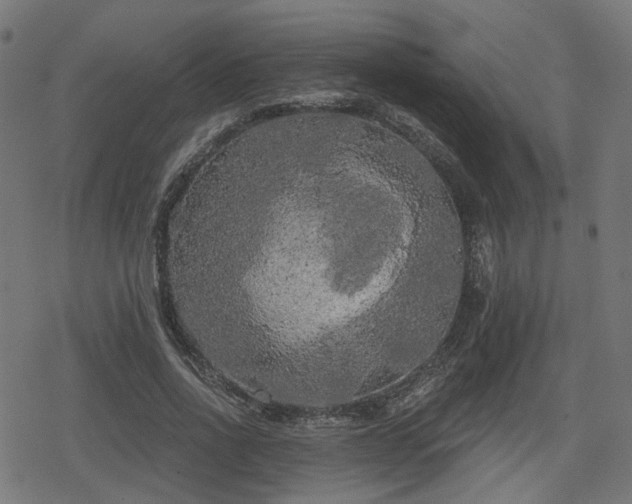 X0000078290734200611101108