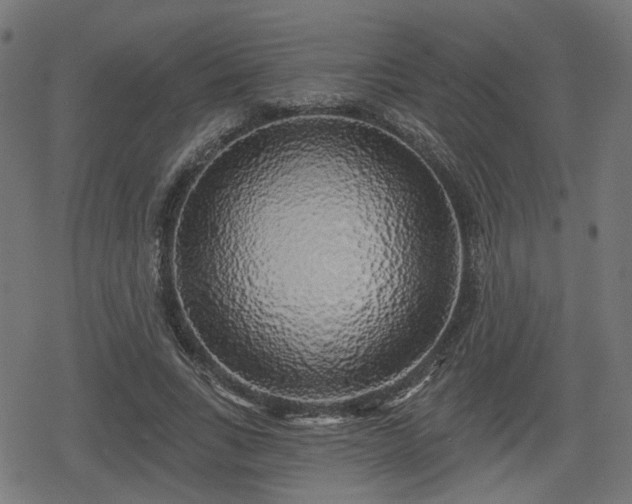 X0000078290735200611101108