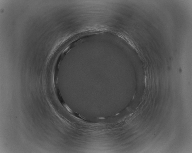 X0000078290736200611101108