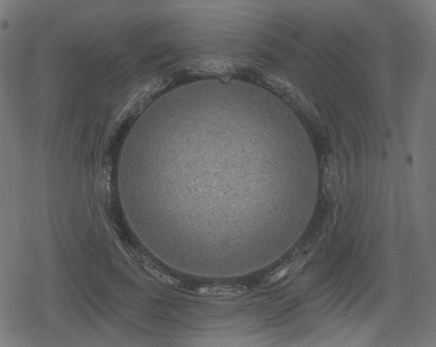 X0000078290739200611101108