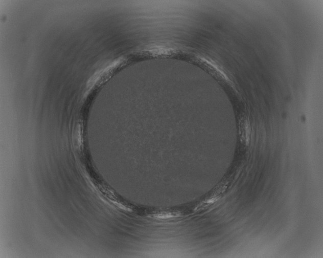 X0000078290740200611101108