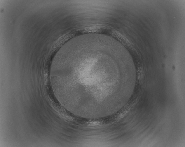 X0000078290741200611101108