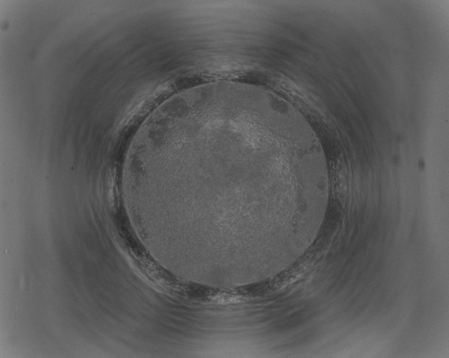 X0000078290742200611101108